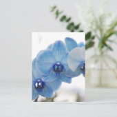 Carte Postale Orchidées bleues (Debout devant)