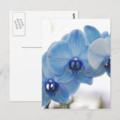 Carte Postale Orchidées bleues (Devant / Derrière)