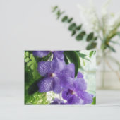 Carte Postale Orchidées bleues (Debout devant)