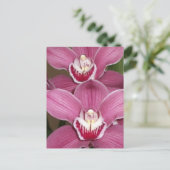 Carte postale Orchidées Cymbidium Rose (Debout devant)