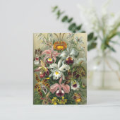 Carte Postale Orchidées d'art - Formes d'art de la nature (Debout devant)