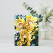 Carte Postale Orchidées de Cymbidium Jaune (Debout devant)