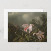 Carte Postale Orchidées de la jungle et colibris (Devant / Derrière)