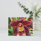 Carte Postale Orchidées de Maroon I Beau Floral Rouge (Debout devant)