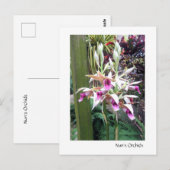 Carte Postale Orchidées de Nun 2 (Devant / Derrière)