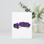 Carte Postale Orchidées de Phalaenopsis pourpre foncé (Debout devant)