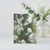 Carte Postale Orchidées des Prairies frangées (Debout devant)