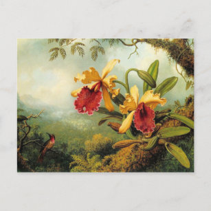 Carte postale Orchidées et colibris