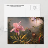 Carte postale : Orchidées et colibris (Devant / Derrière)
