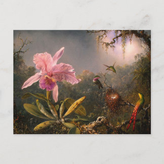 Carte postale : Orchidées et colibris