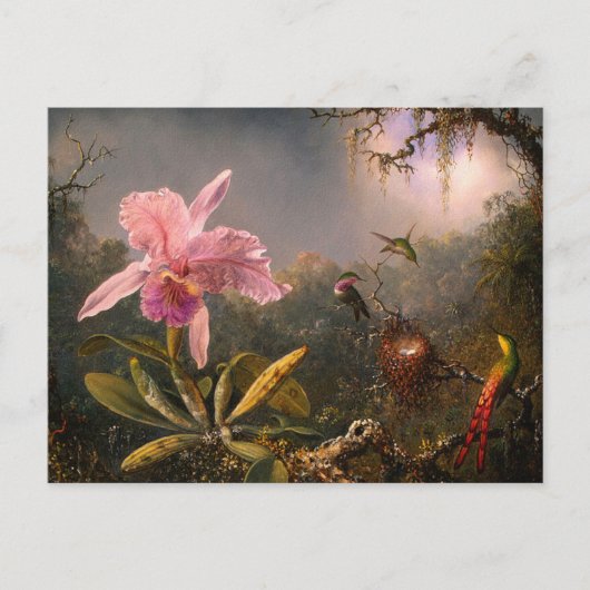 Carte postale : Orchidées et colibris (Devant)
