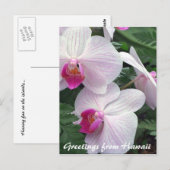 Carte Postale orchidées hawaïennes (Devant / Derrière)