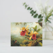 Carte Postale Orchidées jaunes (Debout devant)