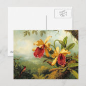 Carte Postale Orchidées jaunes (Devant / Derrière)