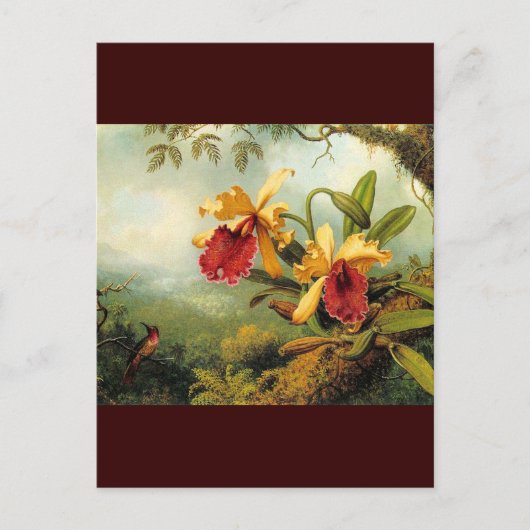 Carte Postale Orchidées jaunes (Devant)