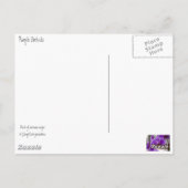 Carte Postale Orchidées pourpres (Dos)