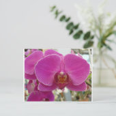 Carte Postale Orchidées rose chaud (Debout devant)