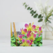 Carte Postale Orchidées rose jaune (Debout devant)