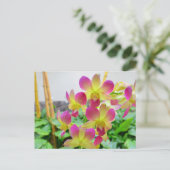 Carte Postale Orchidées rose jaune (Debout devant)