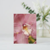 Carte postale Orchidées roses (Debout devant)