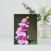 Carte Postale Orchidées roses, romantique tropical floral (Debout devant)