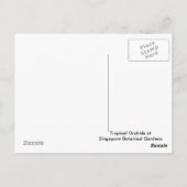 Carte Postale Orchidées tropicales (Dos)