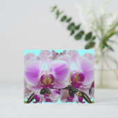 Carte Postale Orchidées violettes (Debout devant)