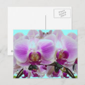 Carte Postale Orchidées violettes (Devant / Derrière)