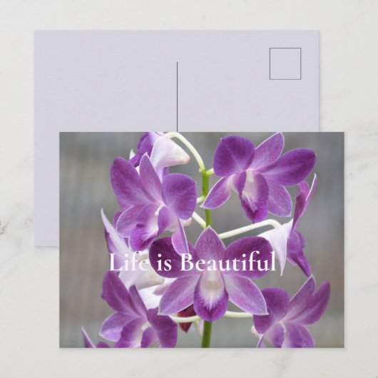 Carte Postale Orchidées violettes Kauai Hawaii (Devant / Derrière)