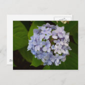 Carte Postale Ordensie (Devant / Derrière)