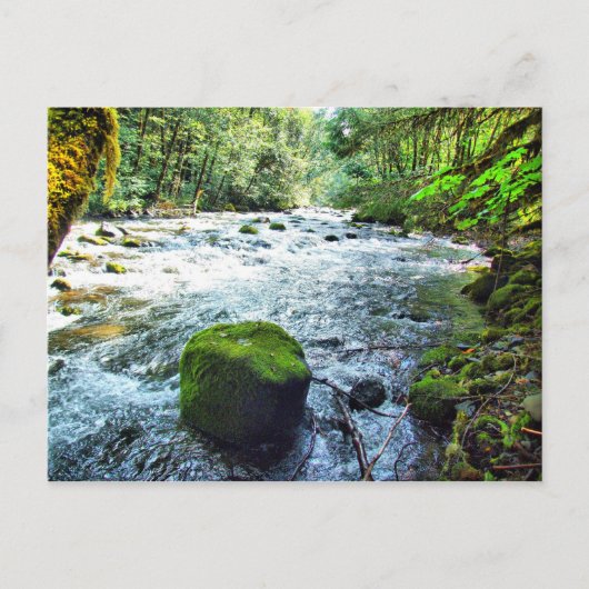 Carte Postale Oregon (Devant)
