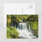 Carte Postale Oregon, Cascade de Willamette (Devant / Derrière)