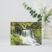 Carte Postale Oregon, Cascade de Willamette (Debout devant)