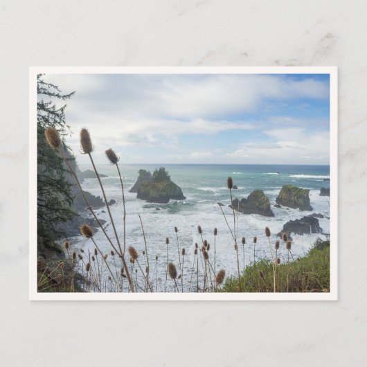 Carte Postale Oregon Coast Arch Rock State Park Brookings Beach (Devant)