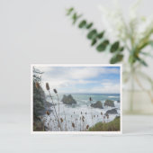 Carte Postale Oregon Coast Arch Rock State Park Brookings Beach (Debout devant)