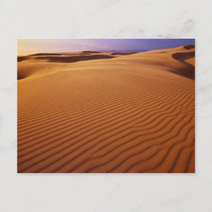Carte Postale Oregon Dunes National Recreation Area, Oregon à
