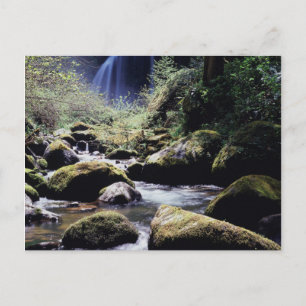 Carte Postale Oregon, forêt nationale de Siskiyou, Elk Creek