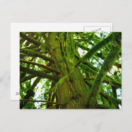 Carte Postale Oregon Green (Devant / Derrière)