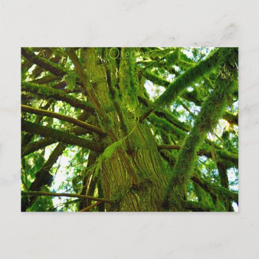 Carte Postale Oregon Green (Devant)
