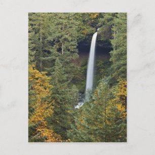 Carte Postale Oregon, parc d'État de Silver Falls, North Falls