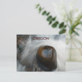 Carte Postale Oregon Rocks (Debout devant)