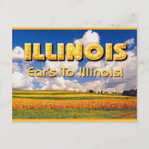 Carte Postale Oreilles à l'Illinois ... Mark Edward Westerfield