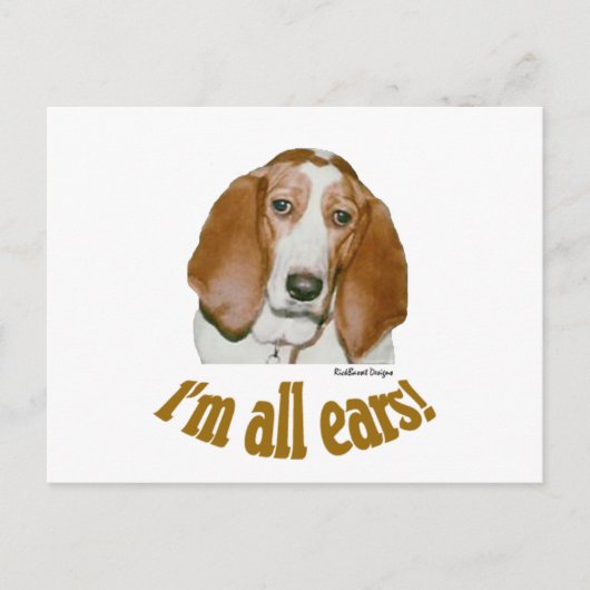 Carte Postale Oreilles Basset (Devant)