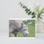 Carte Postale oreilles en mouvement (Debout devant)