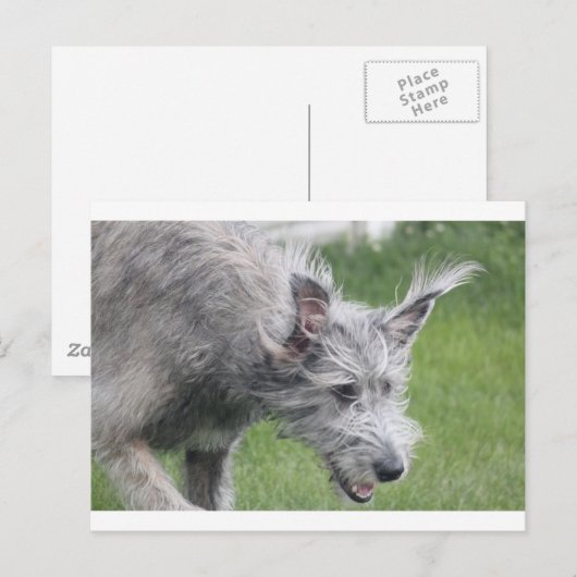 Carte Postale oreilles en mouvement (Devant / Derrière)