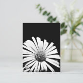 Carte postale orfèvre Doronicum (noir et blanc) (Debout devant)