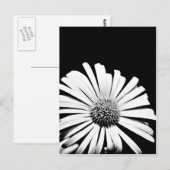 Carte postale orfèvre Doronicum (noir et blanc) (Devant / Derrière)