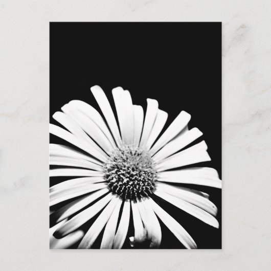 Carte postale orfèvre Doronicum (noir et blanc) (Devant)