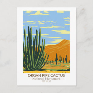 Carte Postale Organ Pipe Cactus National Monument Arizona