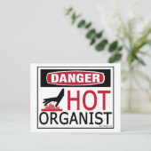 Carte Postale Organiste (Debout devant)